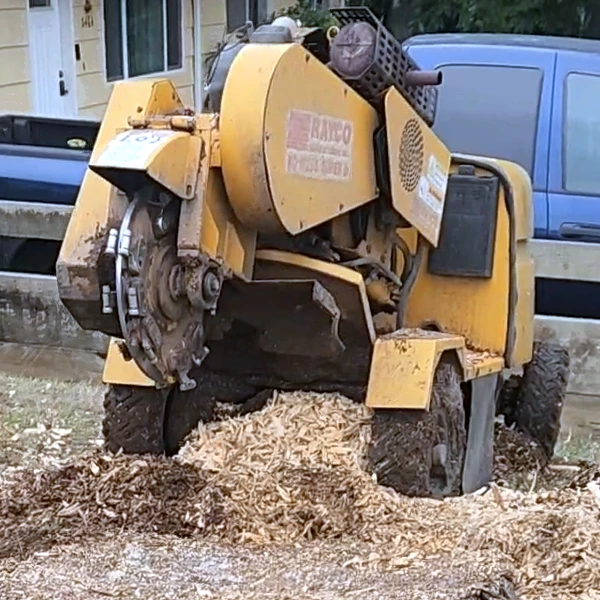 stump grinding